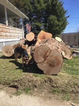 [Hearth.com] My first wood stove