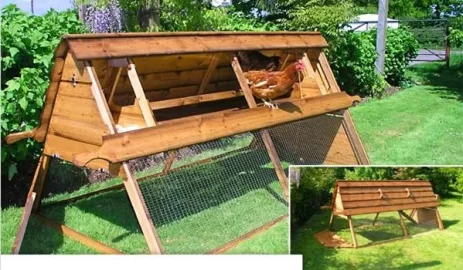 [Hearth.com] Who's Got Chickens? I'm Thinking Laying Hens