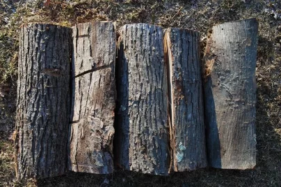 [Hearth.com] BBQ wood ID; hickory or cherry