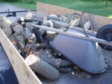 [Hearth.com] Cut some standing dead ash today(update: went back and finished up today 9-19)