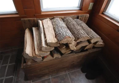 [Hearth.com] Wood Next to Fire