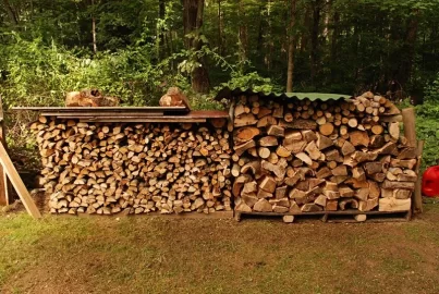 [Hearth.com] Processed Scrounge wood for 2010/2011