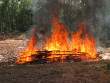 [Hearth.com] I Know I said I wasn't going to take any more pine this year but...  (pics included)