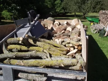 [Hearth.com] Cut some standing dead ash today(update: went back and finished up today 9-19)