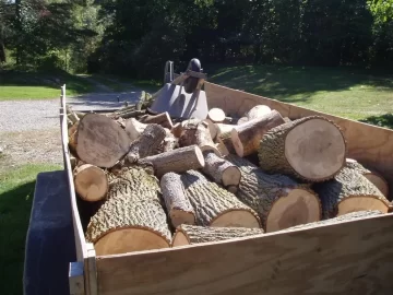 [Hearth.com] Cut some standing dead ash today(update: went back and finished up today 9-19)