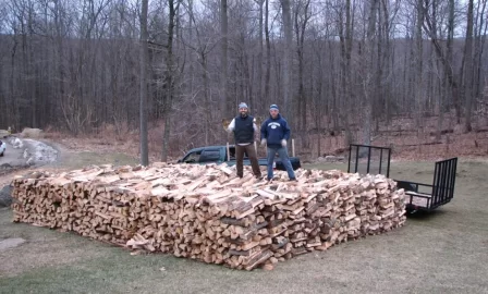 [Hearth.com] Have I told you how much I hate stacking wood?!?