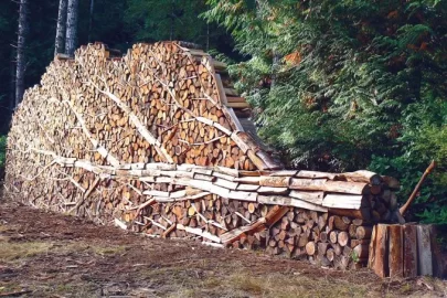 [Hearth.com] Have I told you how much I hate stacking wood?!?