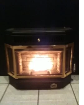 [Hearth.com] Test burn last night