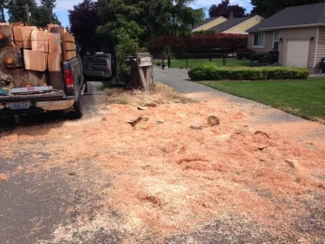 [Hearth.com] We all like pics, another doug fir load from an urban lot.