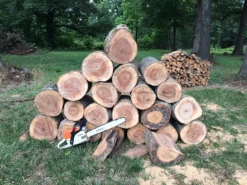 [Hearth.com] Today's wood haul :)