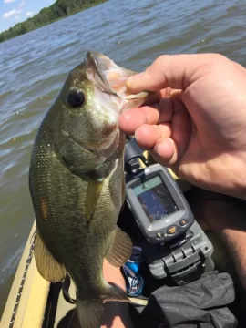 [Hearth.com] Put up your Fishing pics