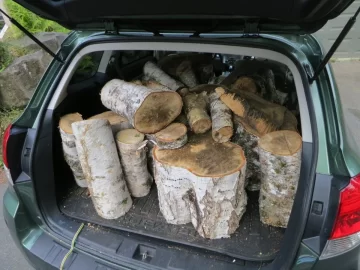 [Hearth.com] your eyes are bigger than your stomach when your passenger is a stump