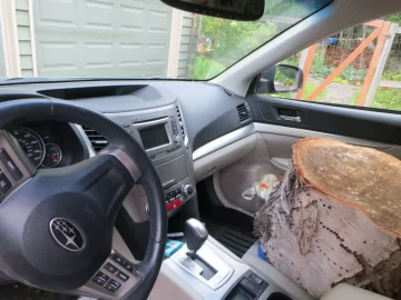 [Hearth.com] your eyes are bigger than your stomach when your passenger is a stump