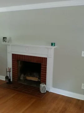 [Hearth.com] Fireplace insert option ?