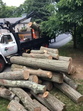 [Hearth.com] Free "Undesirable" wood sections in North Shore, Massachusetts