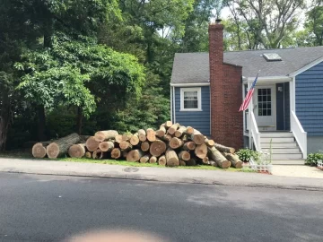 [Hearth.com] Free "Undesirable" wood sections in North Shore, Massachusetts