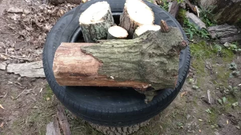 [Hearth.com] Best way to split Ash & a Wood ID