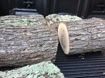 [Hearth.com] Wood ID - Silver Maple?