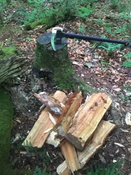 [Hearth.com] Scrounging with no chain saw