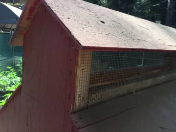 [Hearth.com] Back yard chickens, getting started