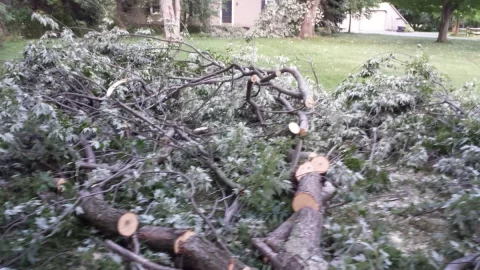 [Hearth.com] Violent t-storm came through last night