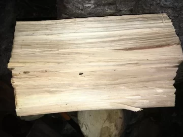 [Hearth.com] Need Help with wood ID