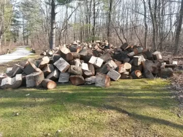 [Hearth.com] This is part of the 100 plus tons of oak I got and split.