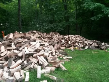 [Hearth.com] This is part of the 100 plus tons of oak I got and split.