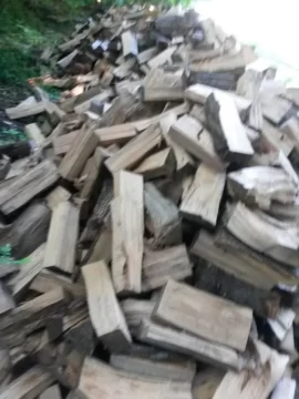 [Hearth.com] This is part of the 100 plus tons of oak I got and split.