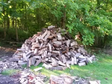 [Hearth.com] This is part of the 100 plus tons of oak I got and split.