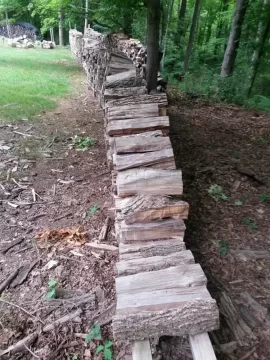 [Hearth.com] This is part of the 100 plus tons of oak I got and split.