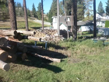 [Hearth.com] Logging truck load