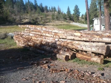 [Hearth.com] Logging truck load