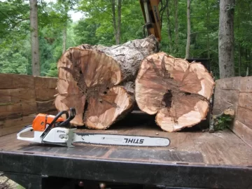 [Hearth.com] Official Connecticut Firewood Thread