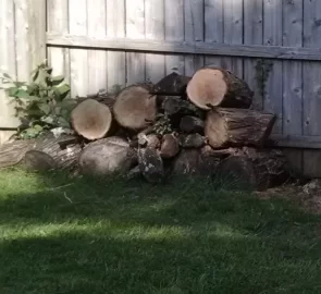 [Hearth.com] Working a Honey Locust Score, May Need Help (Dayton)