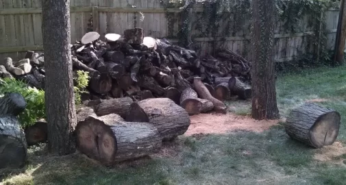 [Hearth.com] Working a Honey Locust Score, May Need Help (Dayton)