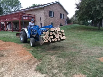 [Hearth.com] Honey locust score... Love my neighbors!