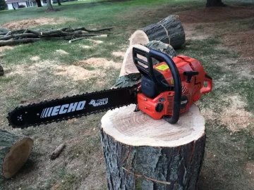 [Hearth.com] Honey locust score... Love my neighbors!