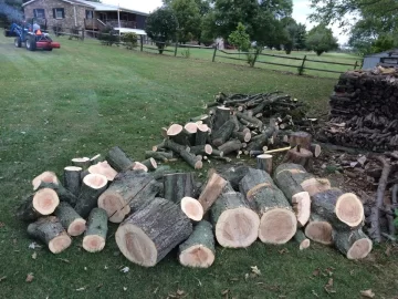 [Hearth.com] Honey locust score... Love my neighbors!