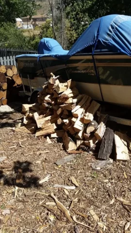 [Hearth.com] Honey locust score... Love my neighbors!