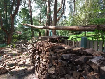 [Hearth.com] Small tree down - landed on my stacks.... heaps of pics.