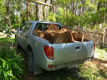 [Hearth.com] Small tree down - landed on my stacks.... heaps of pics.