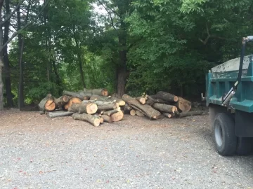 [Hearth.com] Official Connecticut Firewood Thread