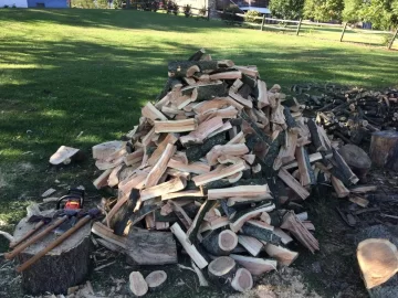 [Hearth.com] Honey locust score... Love my neighbors!