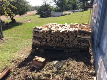 [Hearth.com] Honey locust score... Love my neighbors!