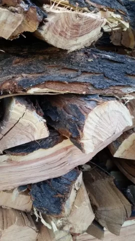 [Hearth.com] Honey locust score... Love my neighbors!