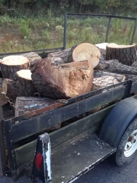 [Hearth.com] Free Pine