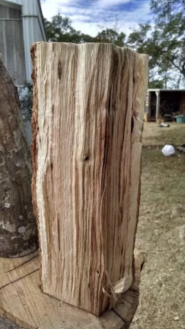 [Hearth.com] Today's score..... maple and ??? ID help please