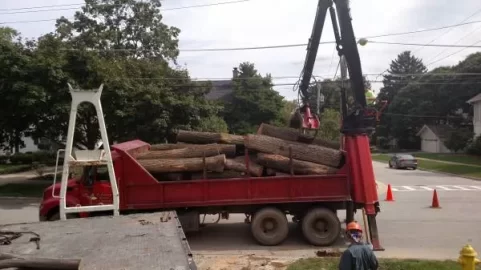 [Hearth.com] Grapple load of firewood logs uncut unsplit - $250    Cl find