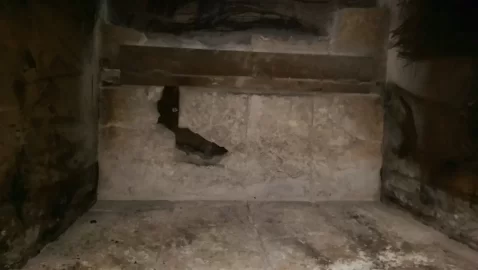 [Hearth.com] Chimney Sweep - Did I Do Ok?